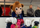 Träffa Siffe och prova på hockey i Saltsjöbadens Ishall